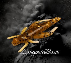 LANGOSTA OLIVA